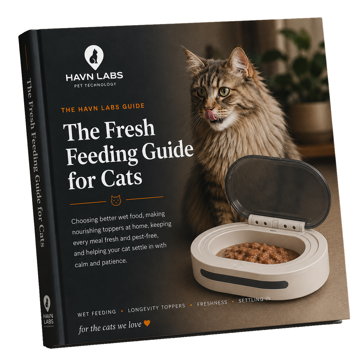 HAVN Feeding Guide for Cats