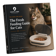HAVN Feeding Guide for Cats image 1