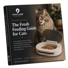 The Fresh Cat Feeding eBook