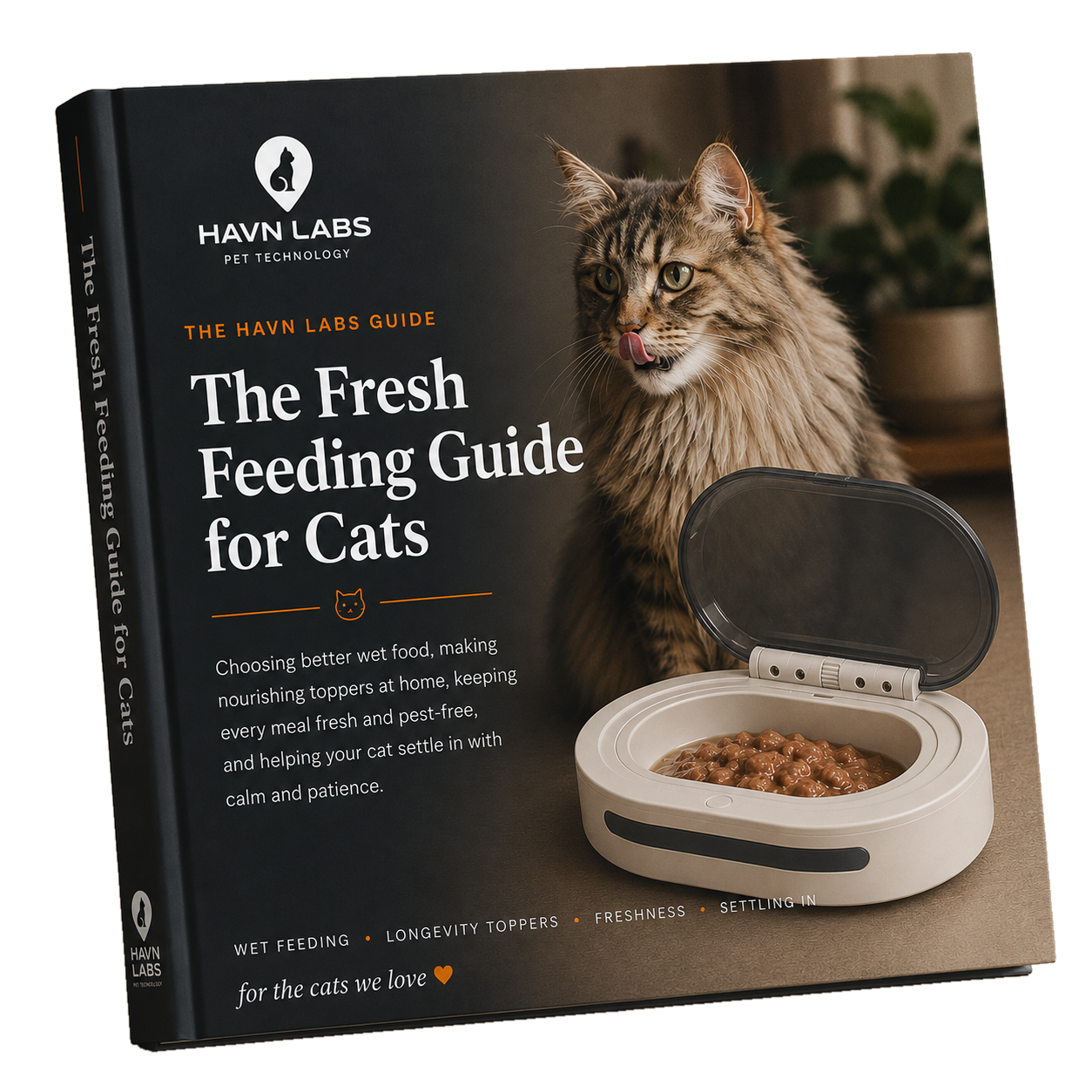 HAVN Feeding Guide for Cats